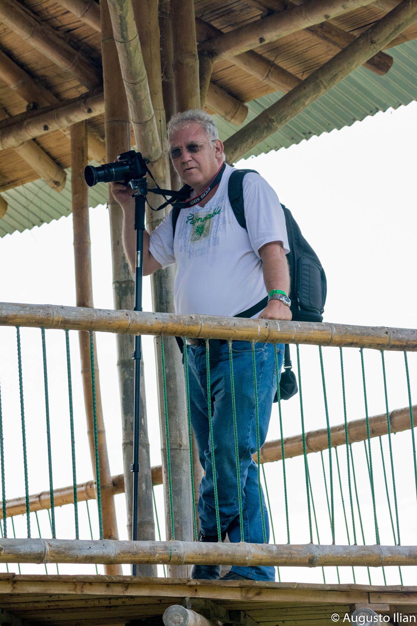 Imagen de perfil del usuario