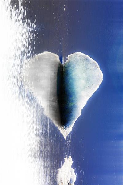 Imagen aleatoria