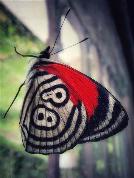 Imagen de perfil del usuario