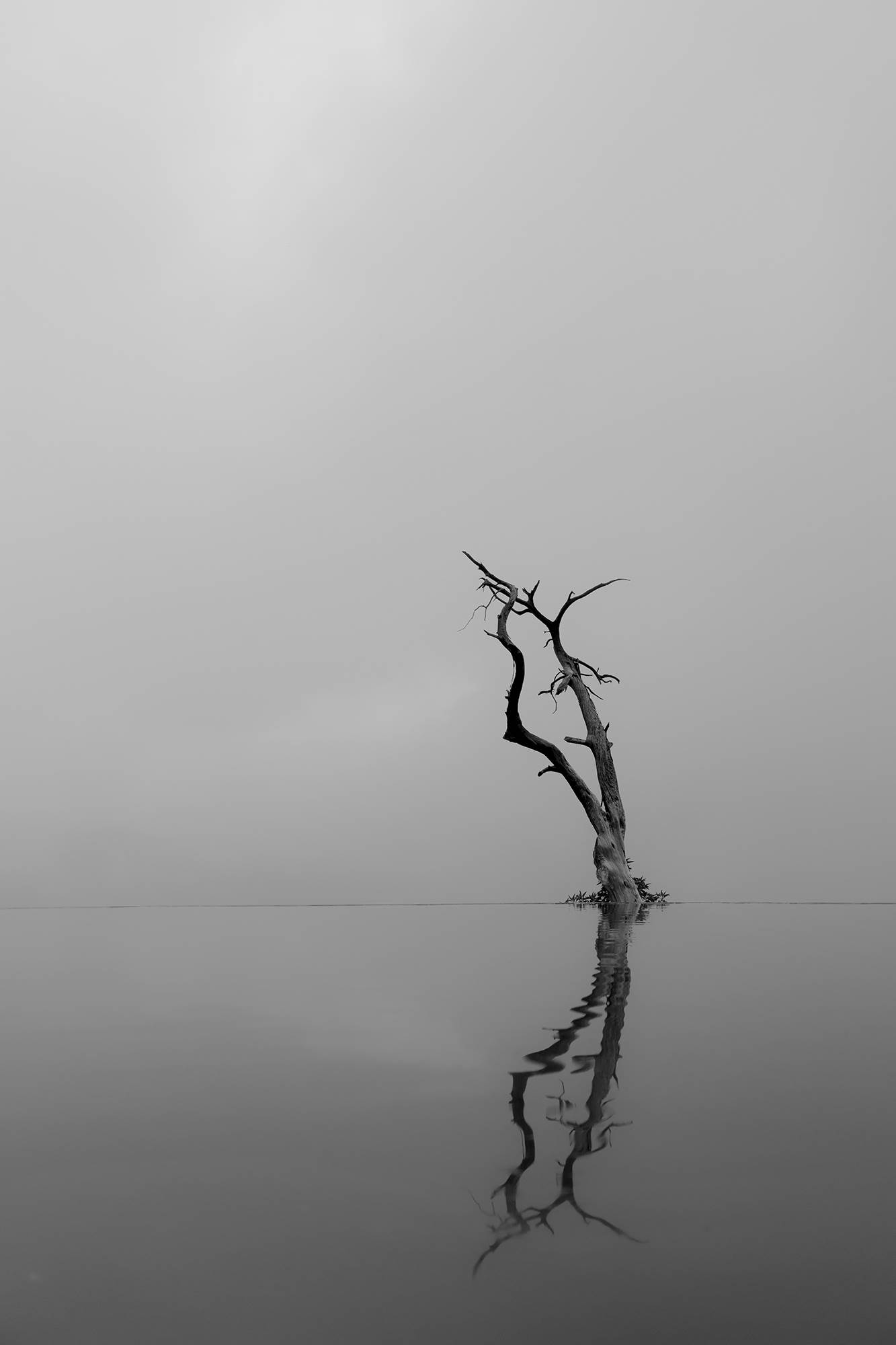 Imagen aleatoria