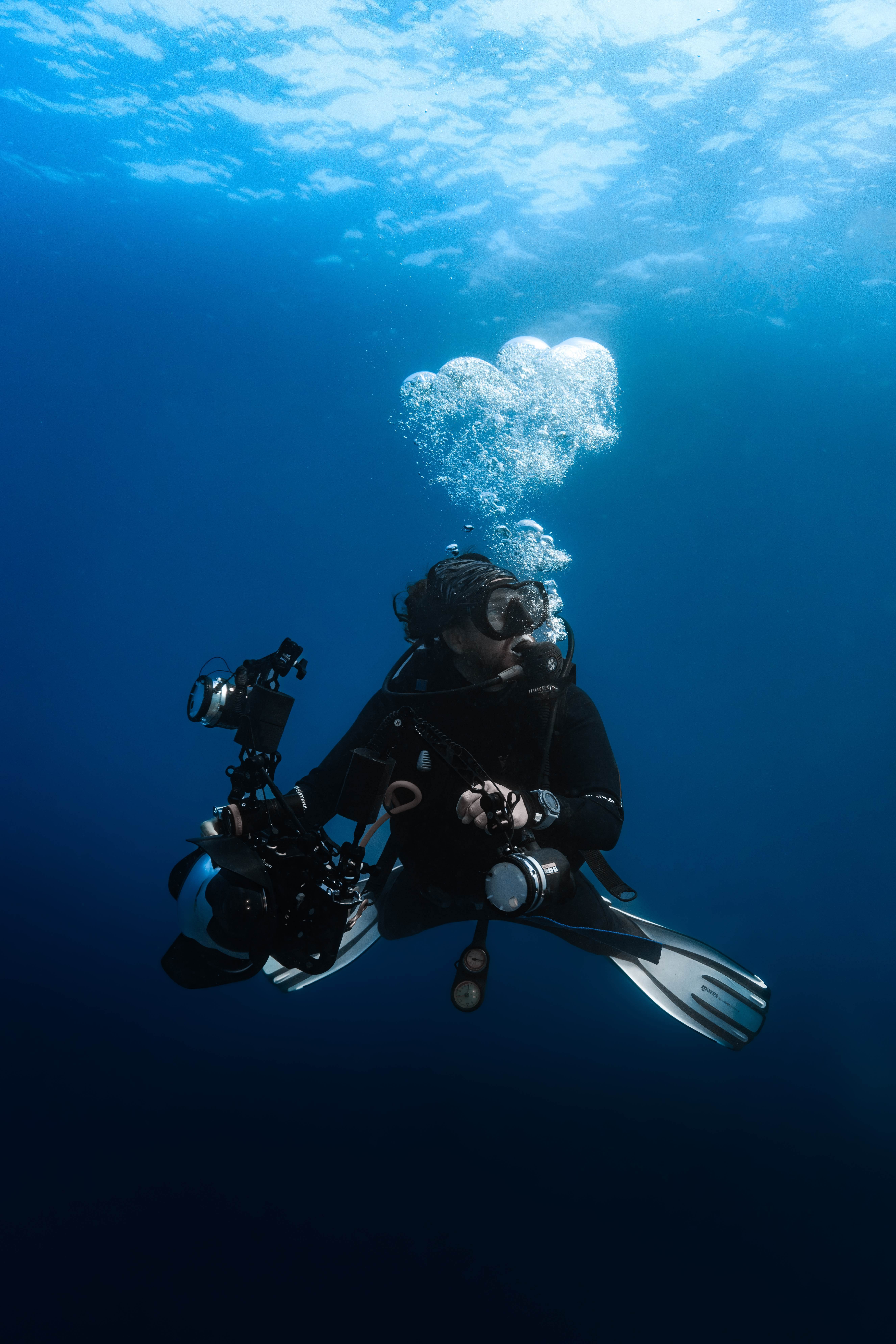 Imagen de perfil del usuario