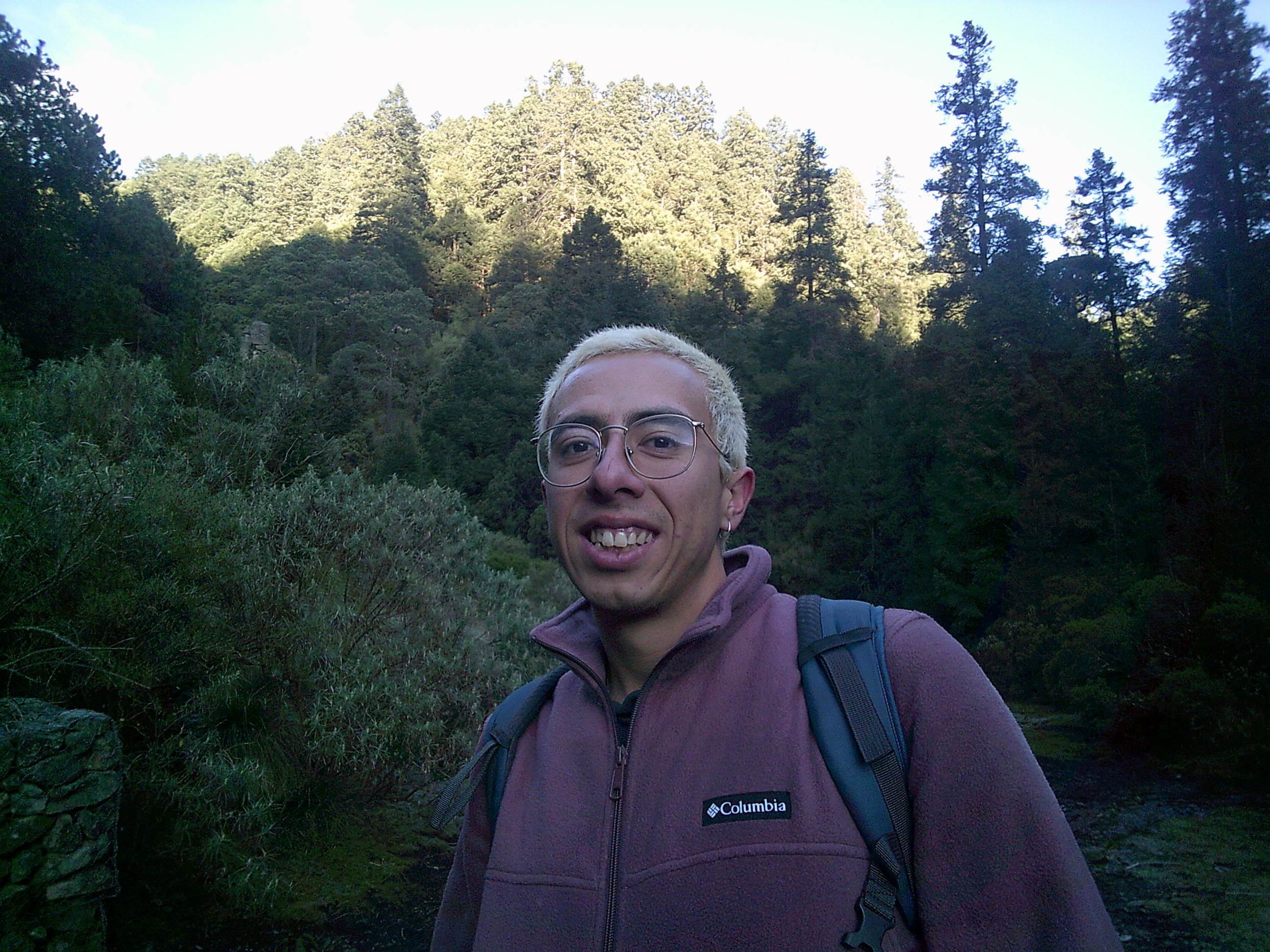 Imagen de perfil del usuario