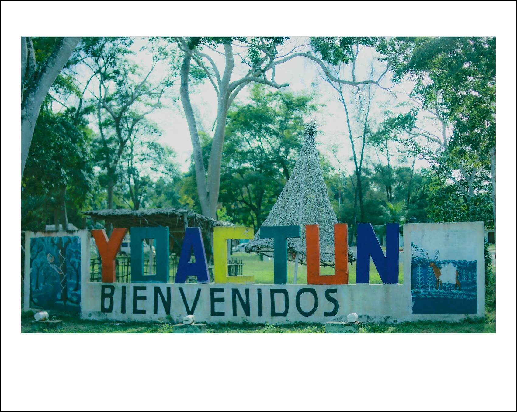 Imagen aleatoria