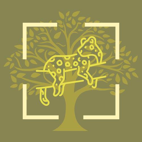 Imagen de perfil del usuario