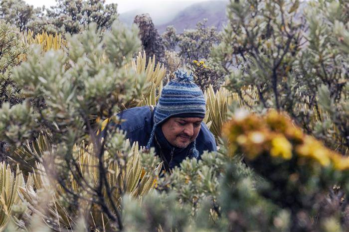 Imagen de perfil del usuario