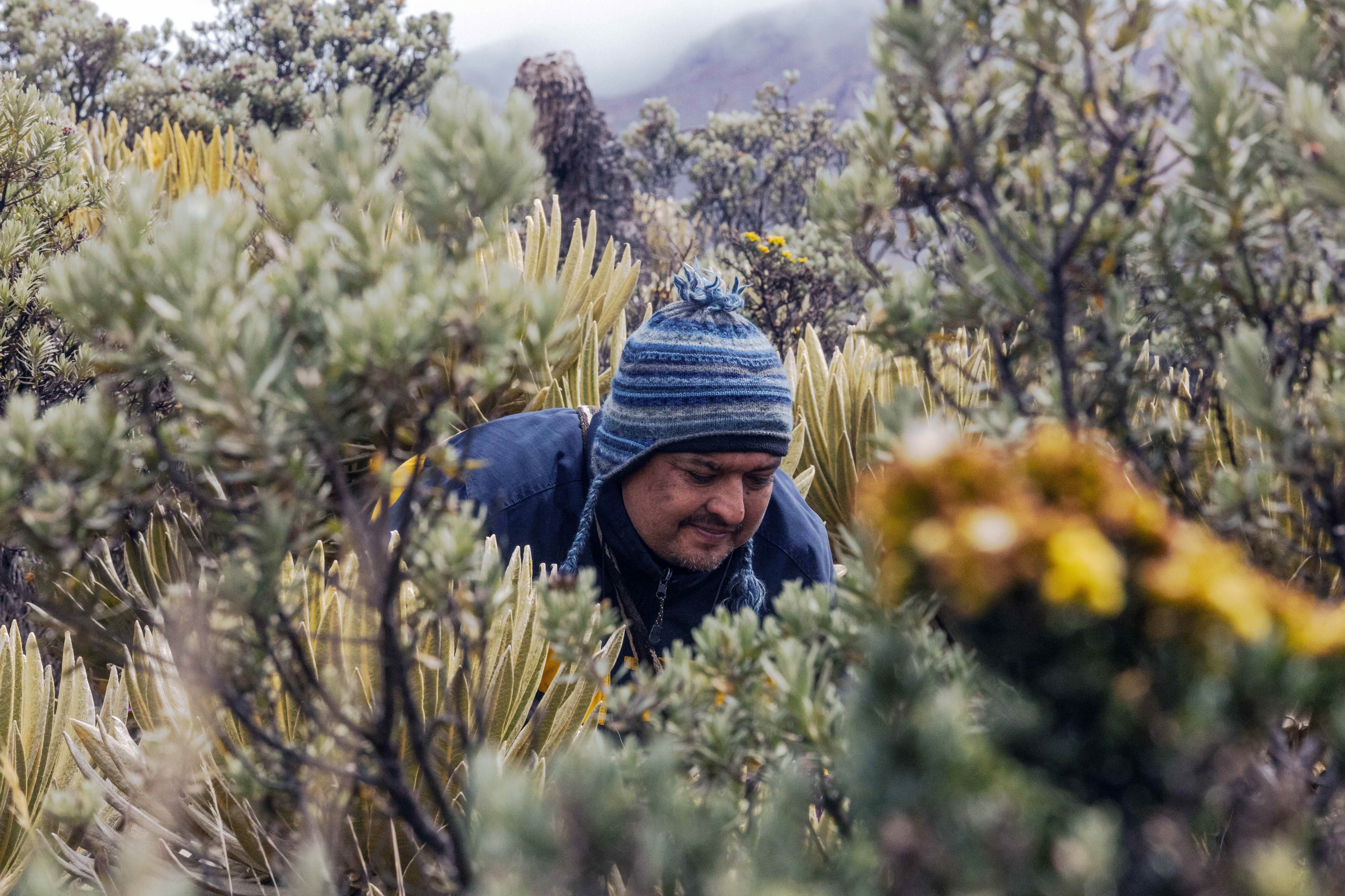 Imagen de perfil del usuario