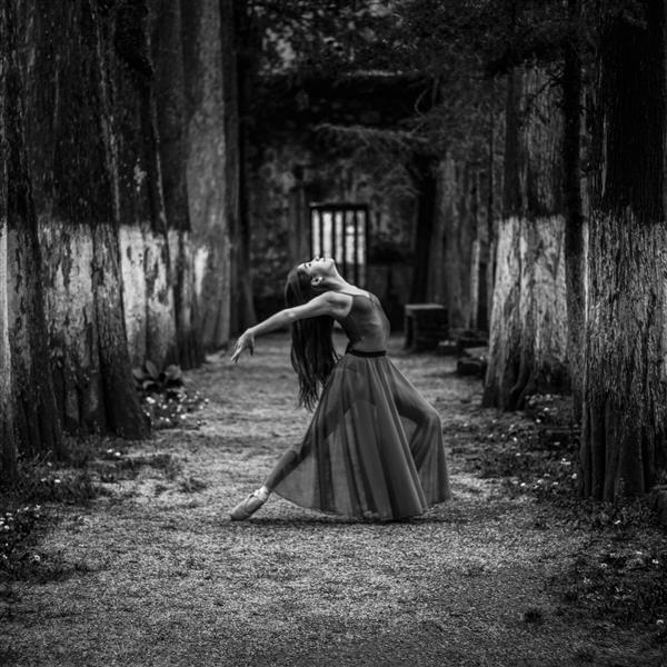 Imagen aleatoria