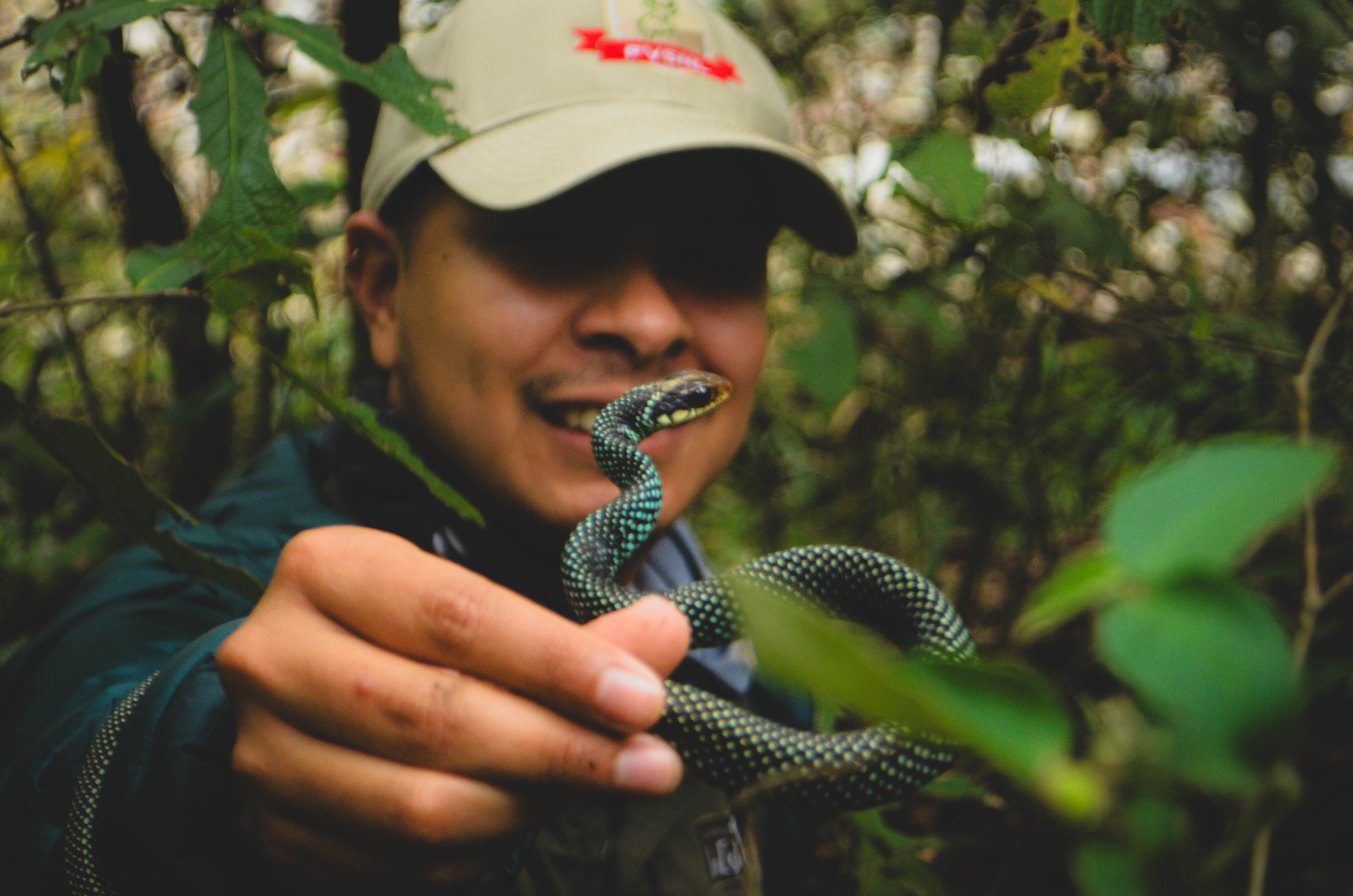 Imagen de perfil del usuario