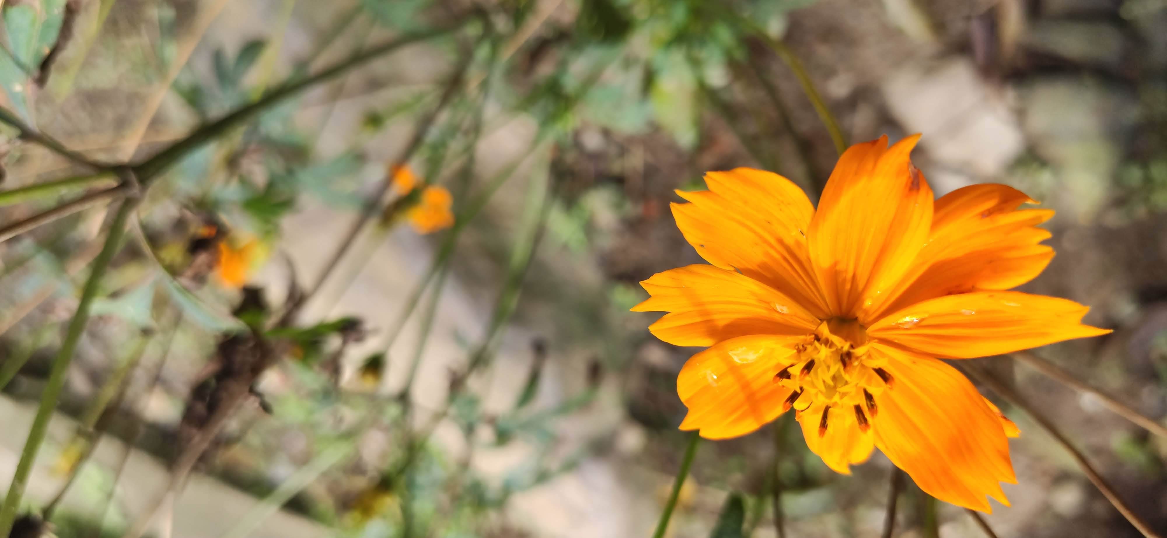 Imagen de perfil del usuario