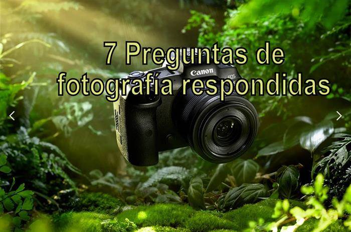 Imagen aleatoria