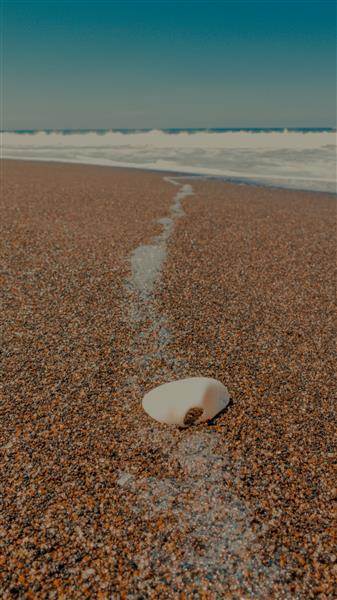 Imagen aleatoria