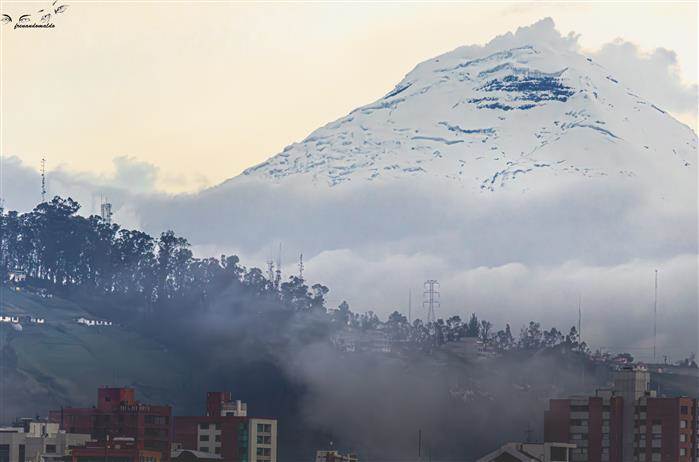 Imagen aleatoria