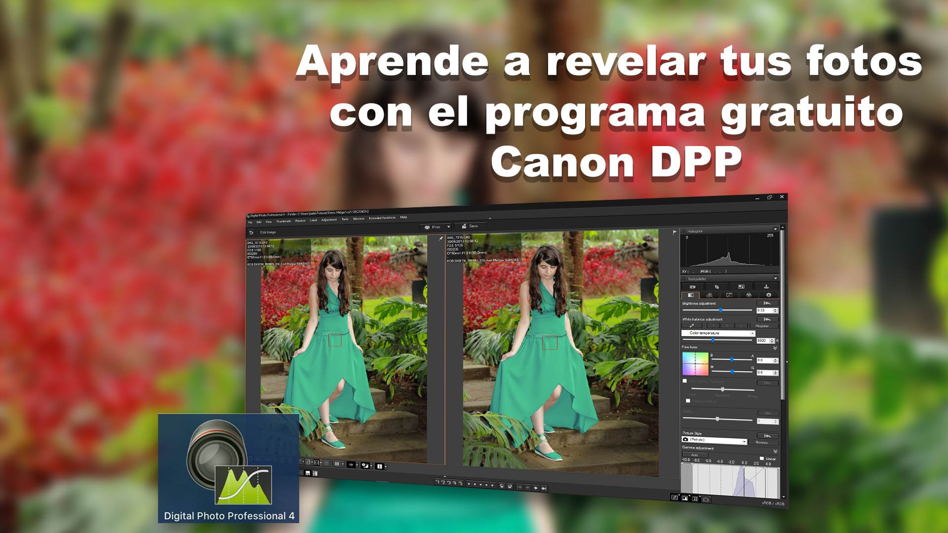 Imagen aleatoria