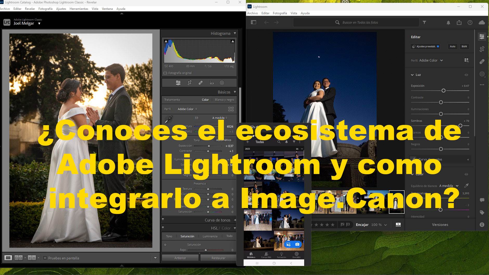 Imagen aleatoria
