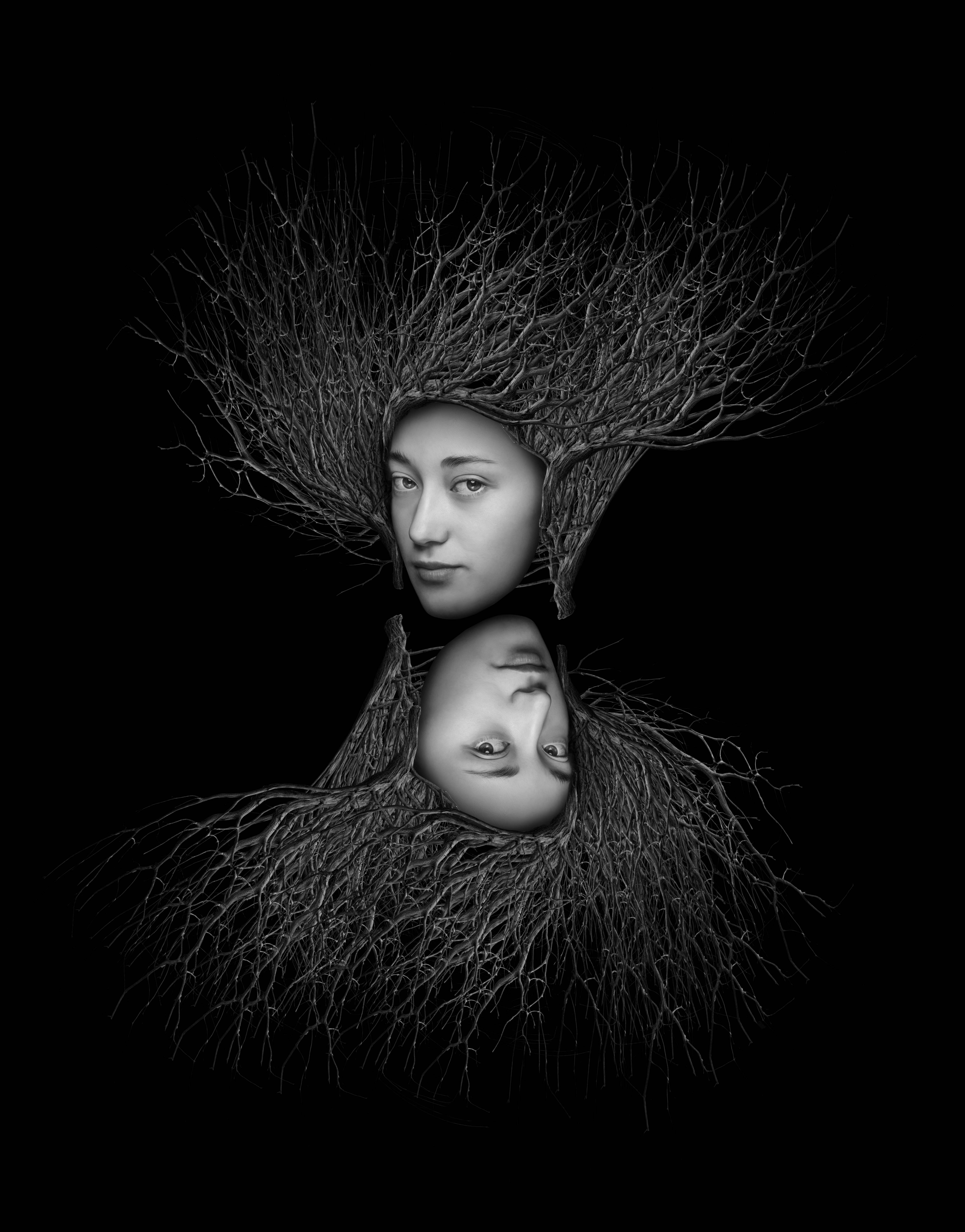 Imagen aleatoria