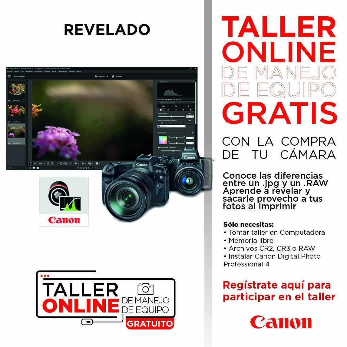 Imagen aleatoria